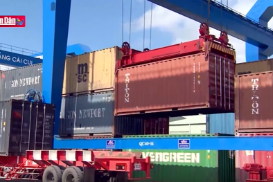 Hàng rào kỹ thuật trong thương mại từ quy định nhãn mác mới của Liên bang Nga