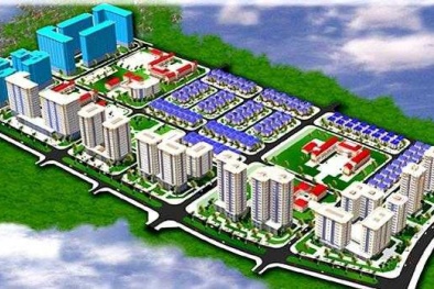 Sai phạm 'động trời' của UDIC tại dự án KĐT mới Hoàng Văn Thụ: Ai dắt lạc đà chui lọt lỗ kim?