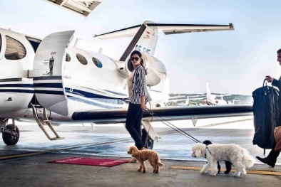 Giới siêu giàu thuê chuyên cơ riêng trốn dịch Covid-19