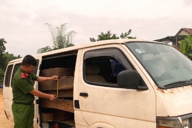 Chặn đứng ô tô biển số giả vận chuyển gỗ nhập lậu