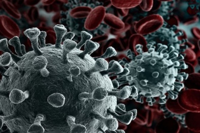 Khả năng virus corona Covid-19 sống trên bề mặt các vật thể như thế nào?