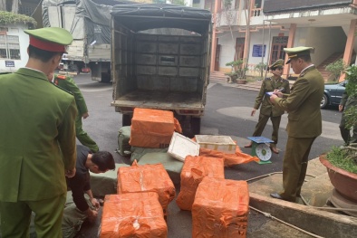 Chặn đứng vận chuyển 1.500 kg lòng lợn không có Giấy chứng nhận kiểm dịch 