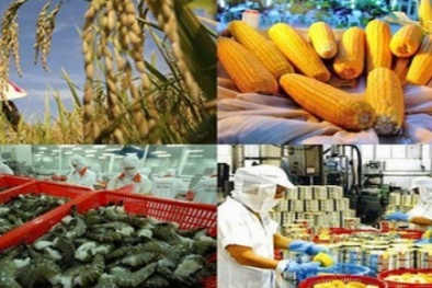 EU đóng cửa biên giới: Chưa tác động đến lưu thông hàng hóa giữa Việt Nam và EU 