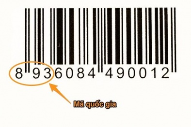 Hàng nhập khẩu gắn mã vạch Việt Nam không phải là căn cứ kết luận giả mạo xuất xứ