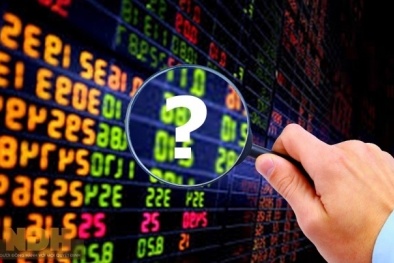 Cá nhân dùng 23 tài khoản thao túng giá cổ phiếu bị phạt 550 triệu đồng