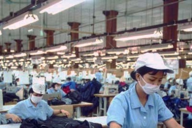 Một công ty may Việt chuẩn bị trả cổ tức 100% bằng tiền mặt