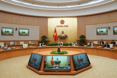 Thủ tướng: Kiên quyết đưa giá thịt lợn xuống dưới 60.000 đồng/kg