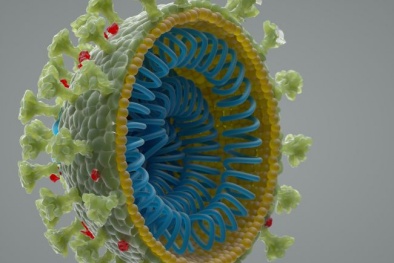 Virus corona không bắt nguồn từ phòng thí nghiệm 