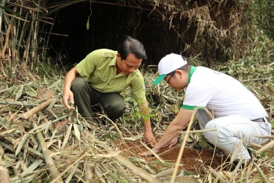 Chung tay vì một môi trường bền vững