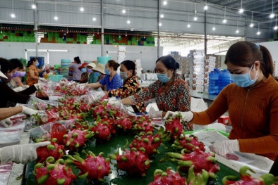 Tin tức kinh doanh 24h mới nhất, nóng nhất ngày 25/3/2020