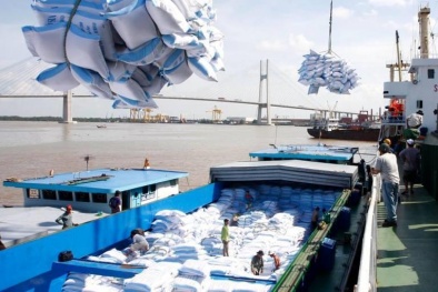 Xuất khẩu gạo có cơ chế 'miễn dịch' với covid- 19