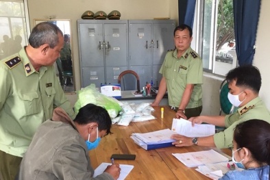 Xử phạt 7 cơ sở kinh doanh trang thiết bị y tế trong ngày 30/3