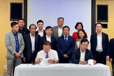 Tin tức kinh doanh 24h mới nhất, nóng nhất ngày 31/3/2020