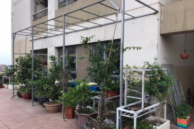 Lấn chiếm diện tích, thay đổi thiết kế tại tòa HHB- KĐT Tân Tây Đô