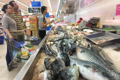 Hà Nội mong người dân tiêu thụ hải sản giúp doanh nghiệp