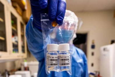 Chế tạo thành công vaccine chống Sars-CoV-2, thử nghiệm cho kết quả tốt