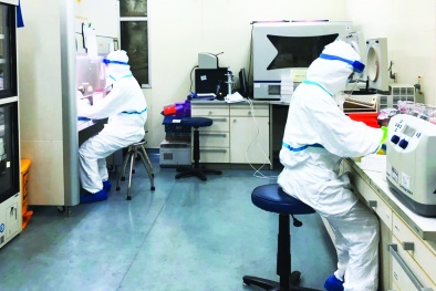 Giá trị của các kỹ thuật xét nghiệm phát hiện Sars-CoV-2