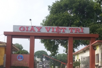 Thành viên HĐQT Công ty cổ phần Giấy Việt Trì bị xử phạt do vi phạm chứng khoán