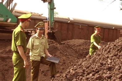 Vì sao Công ty TNHH Tân Tiến ở Yên Bái bị phạt 235 triệu đồng?