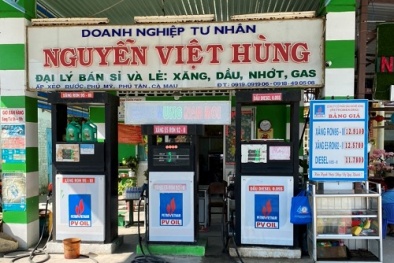 Cà Mau: Xử lý 7 cơ sở vi phạm về kinh doanh xăng dầu