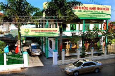 Lộ diện công ty ở Bình Thuận có cổ phiếu tăng 'sốc' hơn 200%