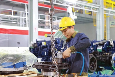 Giảm mạnh số lượng doanh nghiệp yếu kém trong 5 năm gần đây