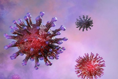 Một người nhiễm virus corona có thể lây bệnh sang bao nhiêu người?