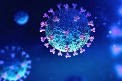 Virus corona vẫn sống sót ở 60 độ C, giải pháp nào để tiêu diệt chúng?