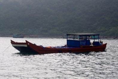 Phát hiện 11,5 tấn sứa biển xuất lậu sang Trung Quốc