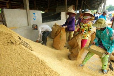 Thành lập Đoàn kiểm tra liên ngành phục vụ công tác điều hành xuất khẩu gạo