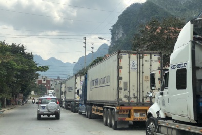 Khuyến nghị doanh nghiệp chuyển mạnh xuất khẩu sang hình thức chính ngạch