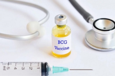800 người dự kiến thử nghiệm vaccine ngừa lao để phục vụ nghiên cứu chống Covid-19