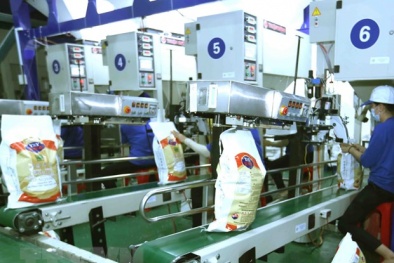 24 doanh nghiệp ‘bùng’ bán gạo cho cơ quan dự trữ quốc gia?