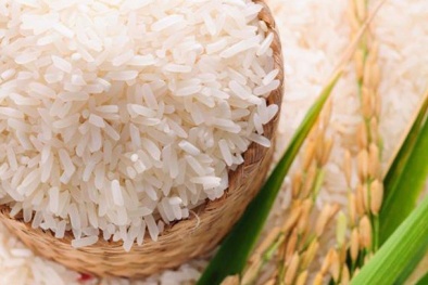 Bộ Công Thương nêu lý do không tiếp thu ý kiến của Bộ Tài chính về xuất khẩu gạo
