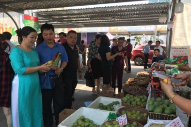 Kết nối cung cầu, Hà Nội hỗ trợ các địa phương tiêu thụ hàng hóa nông sản 