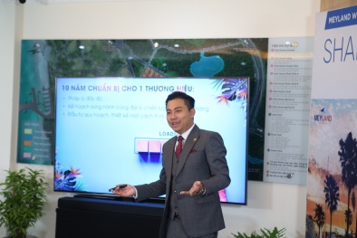 Meyland: 'Trong Nguy có Cơ' giữa đại dịch Covid-19