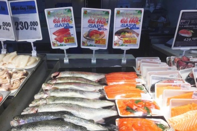 Tuần lễ hỗ trợ tiêu thụ cá hồi Sapa lần đầu tiên tại miền Bắc