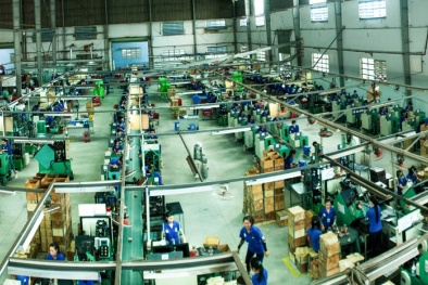 Hiệu quả rõ rệt nhờ áp dụng TPM tại Công ty Cường Vinh