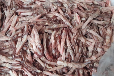 Nguồn gốc đáng ngờ của lưỡi vịt đông lạnh