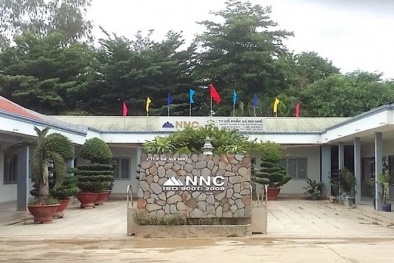 Công ty Cổ phẩn Đá Núi Nhỏ bị 'bêu tên' do vi phạm quy định quản trị 