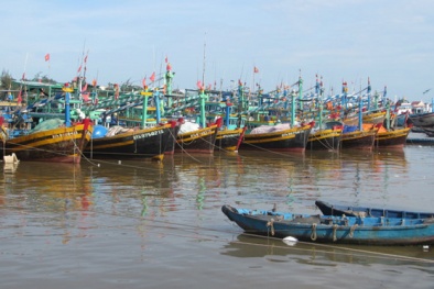 Bình Thuận: Quản lý chất lượng an toàn thực phẩm hướng đến bền vững