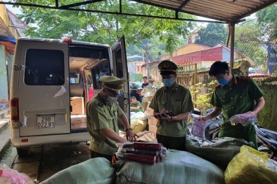 Dùng biển số giả vận chuyển lượng lớn hàng hóa nhập lậu