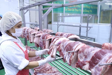 Giá heo hơi hôm nay 2/5/2020: Miền Bắc giá neo ở mức cao, miền Nam giá không giảm