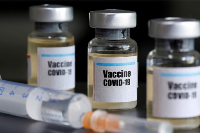 Việt Nam thử nghiệm vaccine phòng Covid-19 trên chuột