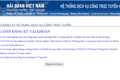 Dịch vụ công trực tuyến đem lại 'lợi ích kép' giữa đại dịch Covid-19