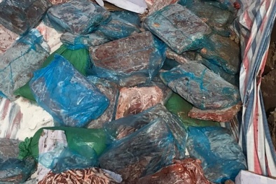 Dùng chất tẩy rửa để sơ chế nội tạng động vật buộc phải tiêu hủy