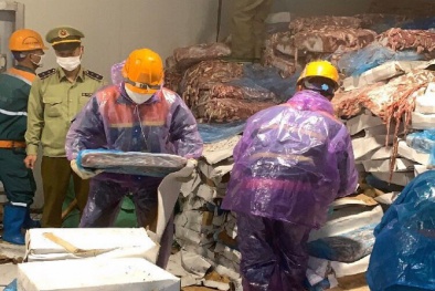 Phát hiện 72 tấn nội tạng động vật bốc mùi hôi thối