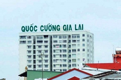 Công ty Quốc Cường Gia Lai mượn thêm bà Như Loan 69 tỷ đồng