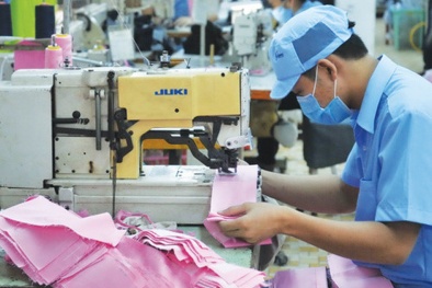 Doanh nghiệp sẽ 'chệch nhịp' hội nhập khi thờ ơ với FTA