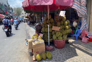 Sầu riêng giá rẻ: Mua tại vườn chỉ 25.000 đồng/1kg